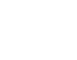 Blau Illes Homes